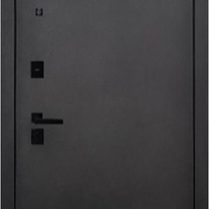 Входная дверь Аргус BLACK